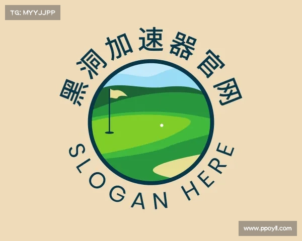 解读黑洞加速器官网
